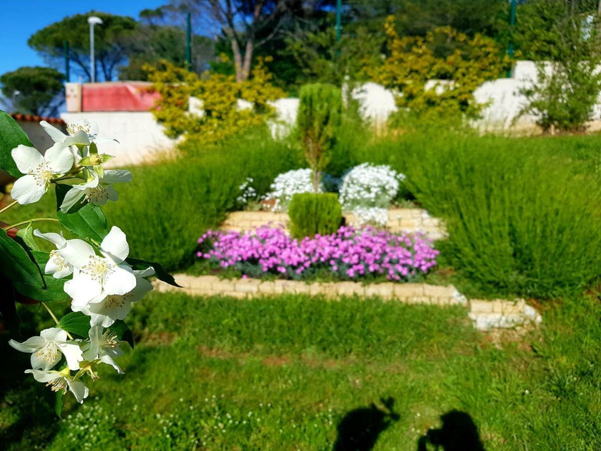 Apartments Lori Πόρετς Εξωτερικό φωτογραφία